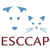 ESCCAP Benelux News Item