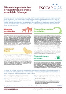 Eléments importants liés à l’importation de chiens (errants) de l’étranger A4