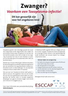 Zwanger - voorkom een toxoplasma infectie A3 poster