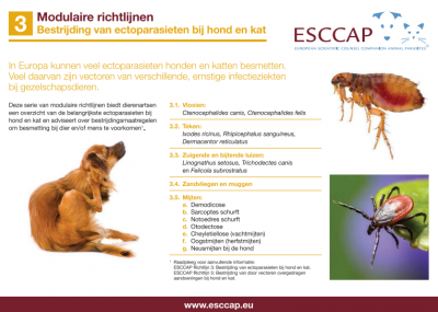 Modulaire richtlijnen 3 compleet