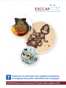 RL7: Traitement et prévention des maladies parasitaires et fongiques des petits mammifères de compagnie