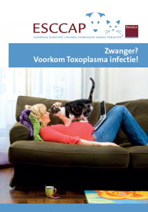 zwanger - voorkom een toxoplasma infectie A5 Folder NL