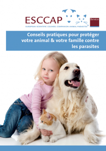 Conseils pratiques pour protéger votre animal & votre famille contre les parasites