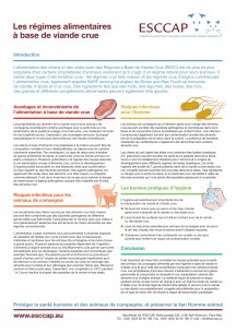 Les régimes alimentaires à base de viande crue