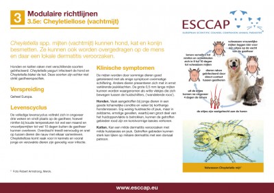 3.5e - Cheyletiellose (vachtmijt)