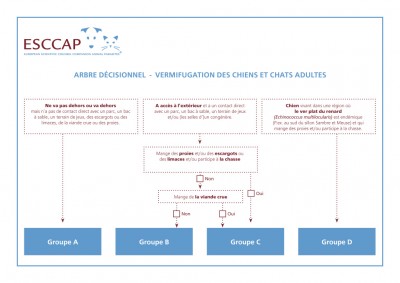 Arbre decisionnel: Vermifugation des chiens et chats adultes