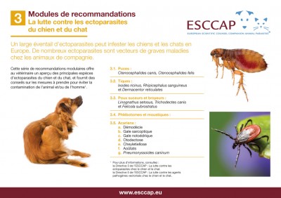 3.0 - La lutte contre les ectoparasites  du chien et du chat