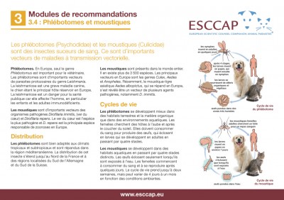 3.4 - Phlébotomes et moustiques