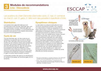 3.5a - Démodéci