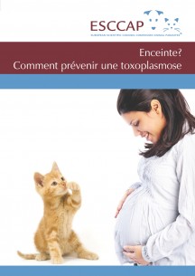 Brochure des Consommateurs:  Enceinte? Comment prévenir une toxoplasmose