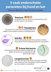5 vaak onderschatte parasieten bij hond en kat A3 poster