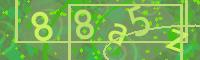 Visual Confirmation Code
