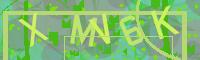 Visual Confirmation Code