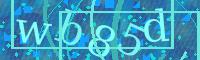 Visual Confirmation Code