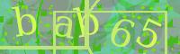 Visual Confirmation Code