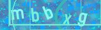Visual Confirmation Code